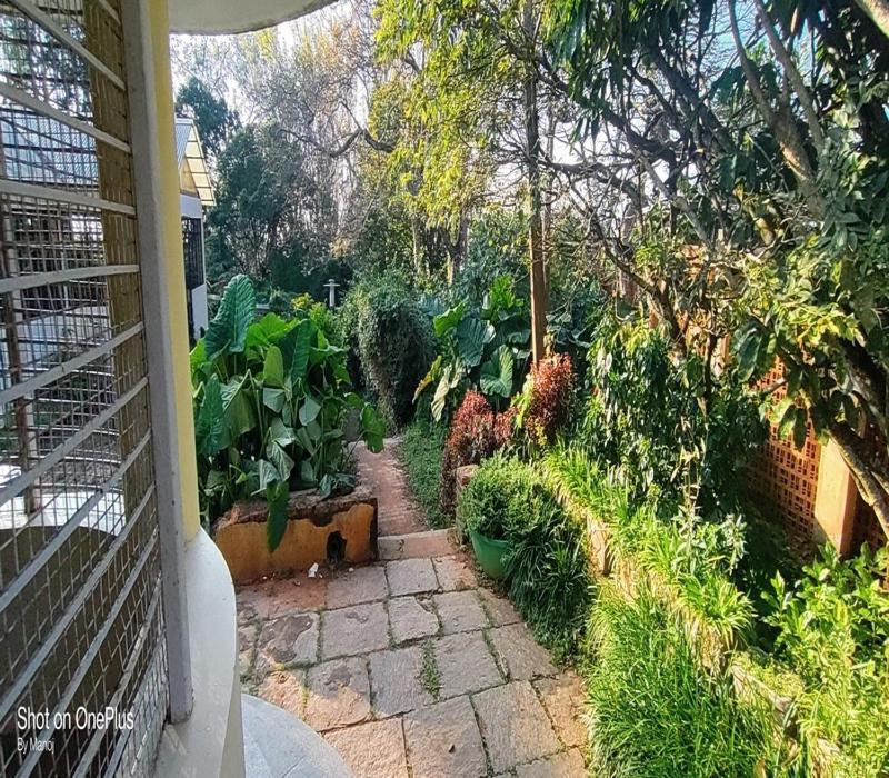 Kstdc Hotel Mayura Pine Top Nandi Hills Εξωτερικό φωτογραφία